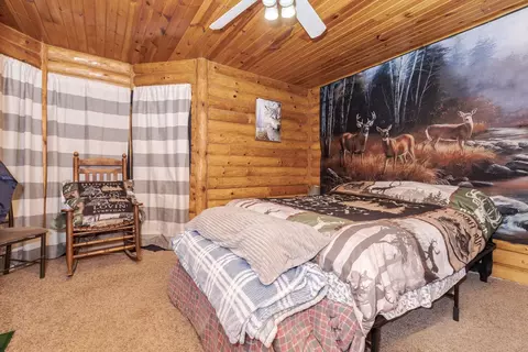 Bedroom - 403 W Owsley St, Chenoa, IL 61726 photo 2 of 7