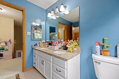 4306 Anthony Ln, Plainfield, IL 60586 photo 28