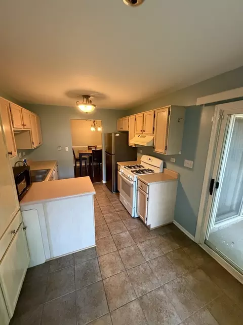 Kitchen - 205 Ashbury Ln E #E3, Roselle, IL 60172 photo 2 of 2