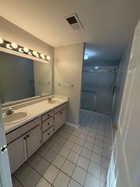 Bath - 205 Ashbury Ln E #E3, Roselle, IL 60172 photo 1 of 2