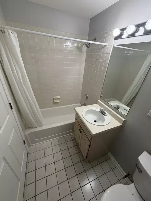 Bath - 205 Ashbury Ln E #E3, Roselle, IL 60172 photo 2 of 2
