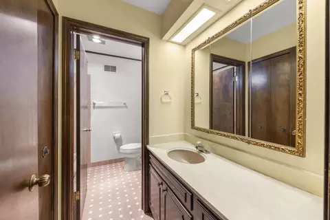 160 E Thompson Dr, Wheaton, IL 60189 photo 21
