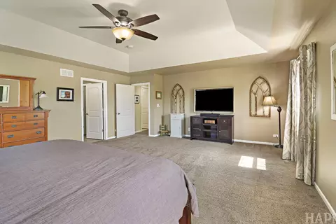 462 E Amberside Dr, Elgin, IL 60124 photo 20