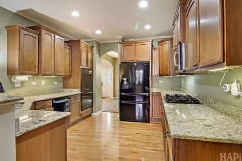 462 E Amberside Dr, Elgin, IL 60124 photo 2