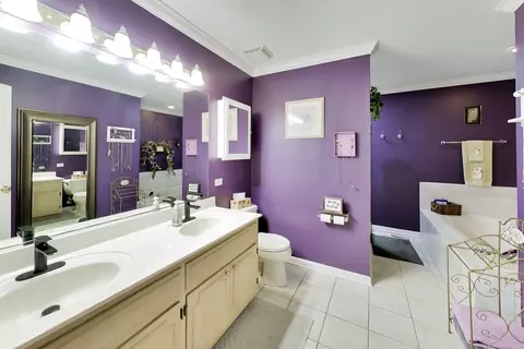 Bath - 24851 Michele Dr, Plainfield, IL 60544 photo 2 of 4