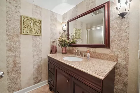 459 E Ridge Ave, Elmhurst, IL 60126 photo 21