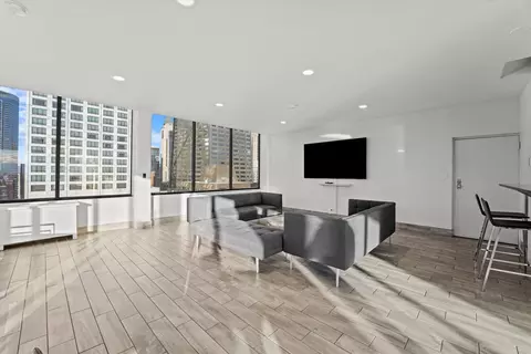 Living - 222 E Pearson St #2002, Chicago, IL 60611 photo 3 of 3