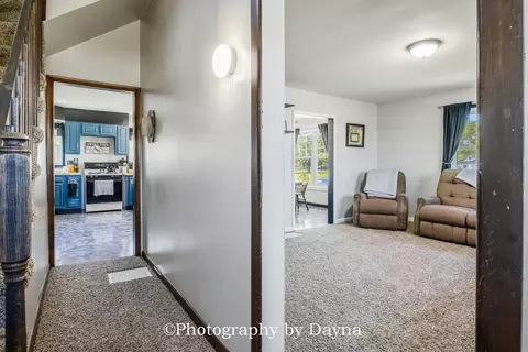 250 W Frontage St, Sheldon, IL 60966 photo 16