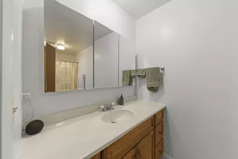 Bath - 1613 Groton Ct, Wheaton, IL 60189 photo 1 of 3