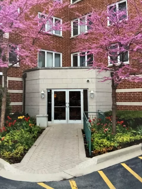 5360 N Lowell Ave #311, Chicago, IL 60630