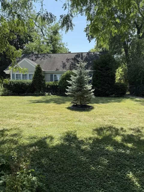 Exterior - 47 W Algonquin Rd, Des Plaines, IL 60016 photo 14 of 28