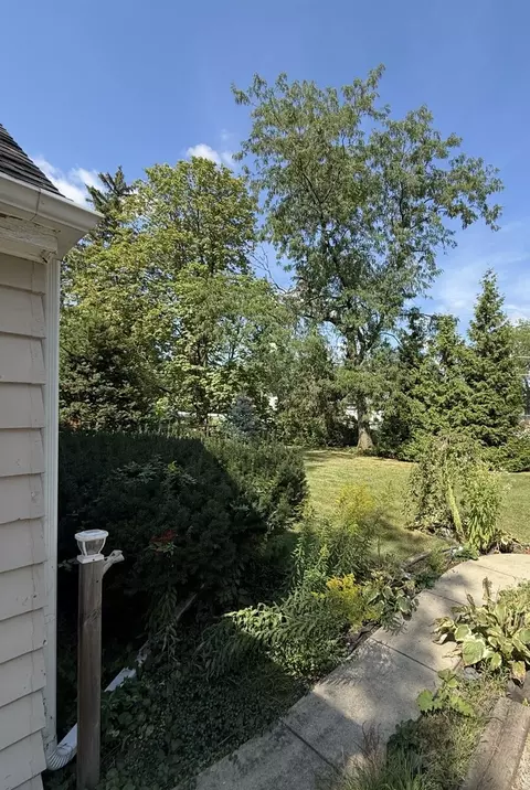 Exterior - 47 W Algonquin Rd, Des Plaines, IL 60016 photo 28 of 28