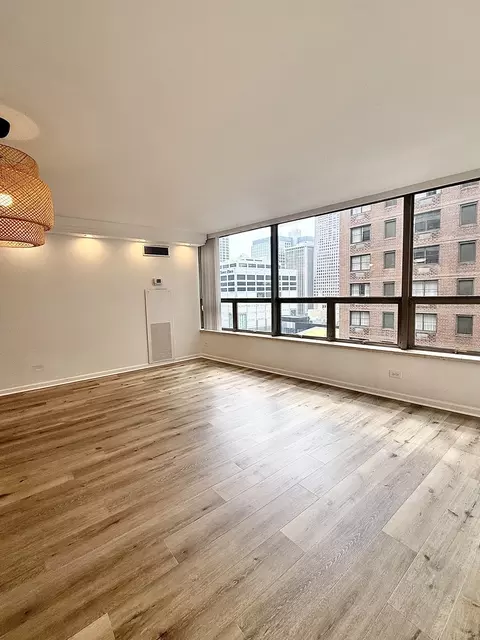Living - 110 E Delaware Pl #1402, Chicago, IL 60611 photo 1 of 10