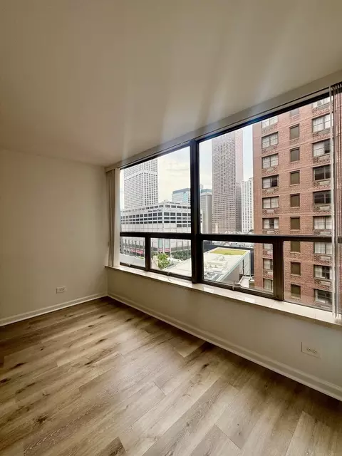 Other - 110 E Delaware Pl #1402, Chicago, IL 60611 photo 6 of 11