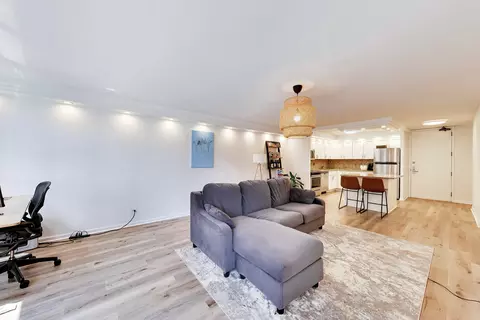 Living - 110 E Delaware Pl #1402, Chicago, IL 60611 photo 6 of 10