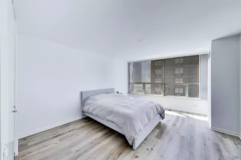 Other - 110 E Delaware Pl #1402, Chicago, IL 60611 photo 8 of 11