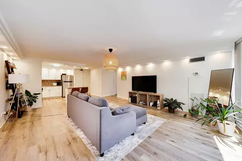 Living - 110 E Delaware Pl #1402, Chicago, IL 60611 photo 9 of 10