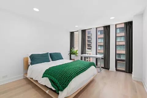 200 E Delaware Pl #11A, Chicago, IL 60611 photo 16