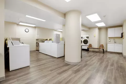 200 E Delaware Pl #11A, Chicago, IL 60611 photo 27