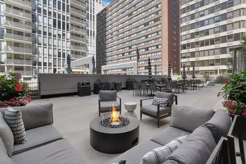 200 E Delaware Pl #11A, Chicago, IL 60611 photo 25