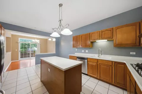 5451 Mcdonough Rd, Hoffman Estates, IL 60192 photo 17