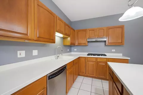 5451 Mcdonough Rd, Hoffman Estates, IL 60192 photo 15