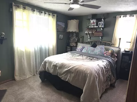 Bedroom - 110 N Seigel St, Lostant, IL 61334 photo 2 of 3