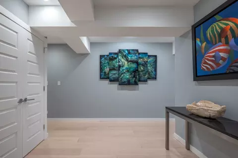 Entry Way - 175 E Delaware Pl #7201-7202, Chicago, IL 60611 photo 3 of 3