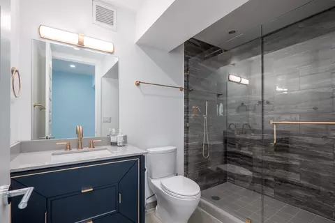 Bath - 175 E Delaware Pl #7201-7202, Chicago, IL 60611 photo 5 of 5