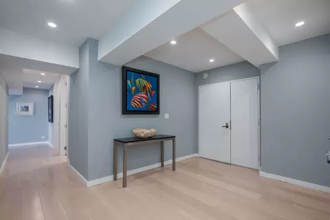 Entry Way - 175 E Delaware Pl #7201-7202, Chicago, IL 60611 photo 2 of 3