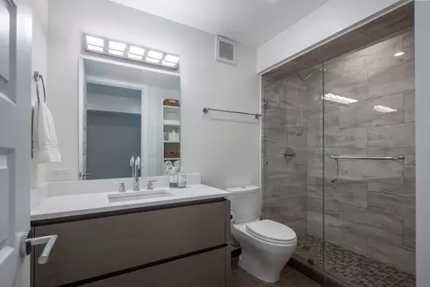 Bath - 175 E Delaware Pl #7201-7202, Chicago, IL 60611 photo 4 of 5