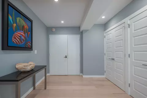 Entry Way - 175 E Delaware Pl #7201-7202, Chicago, IL 60611 photo 1 of 3
