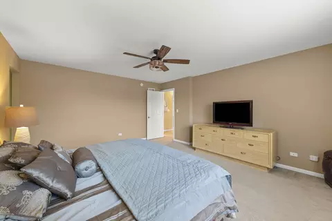 Bedroom - 13521 Arborview Cir, Plainfield, IL 60585 photo 2 of 5