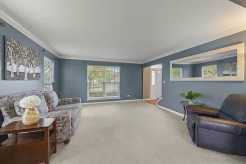 Other - 13521 Arborview Cir, Plainfield, IL 60585 photo 1 of 5