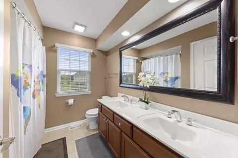 Bath - 13521 Arborview Cir, Plainfield, IL 60585 photo 4 of 4