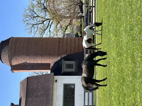 Other - 233 Valley Rd, Trout Valley, IL 60013 photo 14 of 14