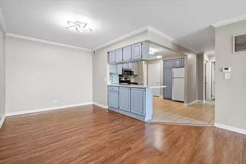 Other - 5300 Carriageway Dr #207, Rolling Meadows, IL 60008 photo 3 of 7