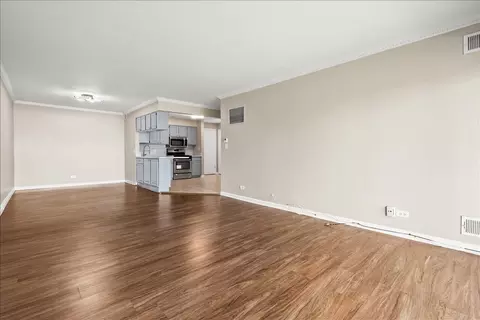 Living - 5300 Carriageway Dr #207, Rolling Meadows, IL 60008 photo 7 of 11