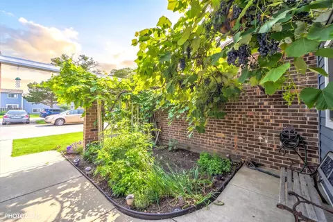 Exterior - 411 Hickory Dr #411, Wheeling, IL 60090 photo 3 of 7