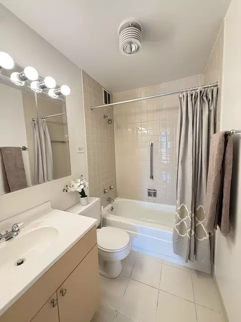 1 E Scott St #2102, Chicago, IL 60610 photo 9