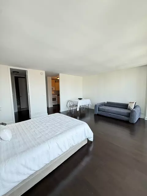 1 E Scott St #2102, Chicago, IL 60610 photo 7
