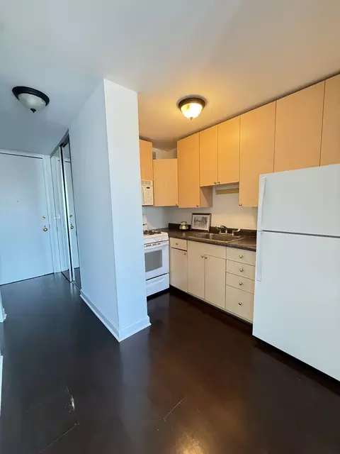 1 E Scott St #2102, Chicago, IL 60610 photo 3