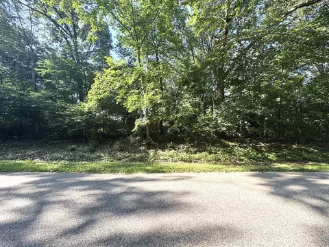 lot90 Lake Thunderbird Dr, Tiskilwa, IL 61368