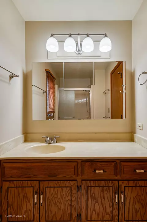 Bath - 1911 Chestnut Hill Rd, Plainfield, IL 60586 photo 2 of 2