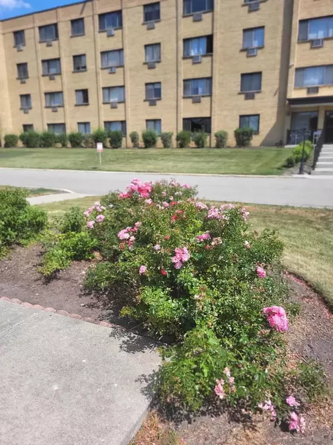 6670 S Brainard Ave #404, Countryside, IL 60525