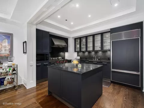 159 E Walton Pl #7E, Chicago, IL 60611 photo 10