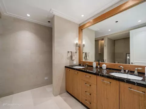 159 E Walton Pl #7E, Chicago, IL 60611 photo 15