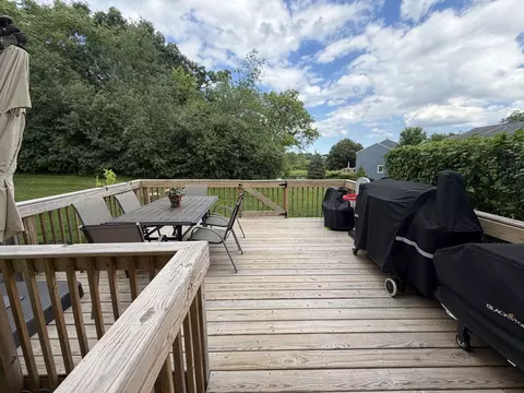 437 Spaulding Rd, Bartlett, IL 60103 photo 21