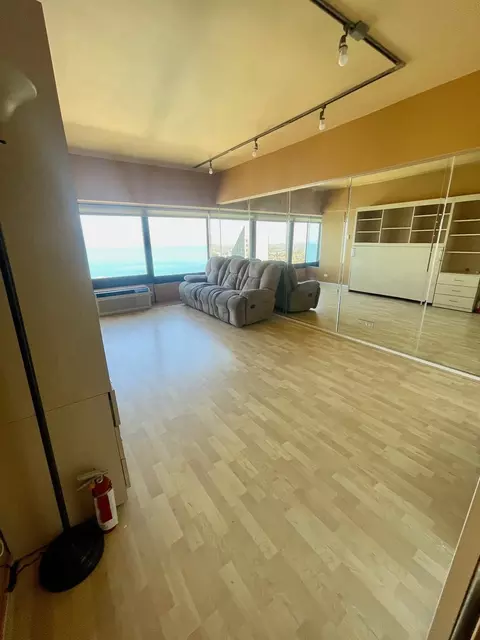 Living - 175 E Delaware Pl #5108, Chicago, IL 60611 photo 2 of 3