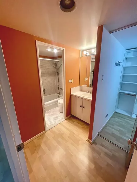 Bath - 175 E Delaware Pl #5108, Chicago, IL 60611 photo 1 of 1